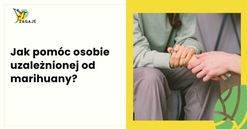 Terapia zagaje - jak pomóc osobie uzależnionej od marihuany