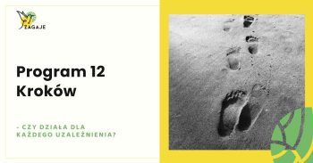 program 12 kroków